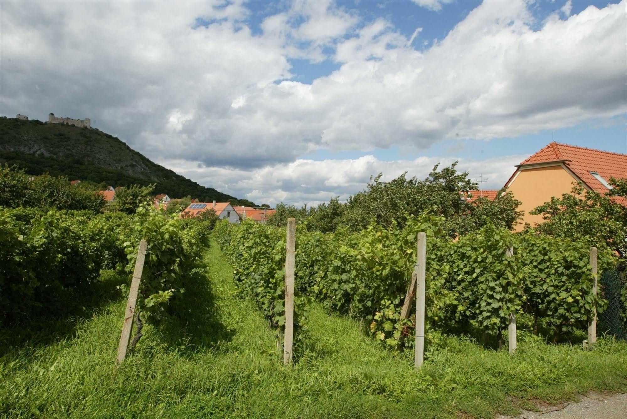 Hotel Pavlov Buitenkant foto